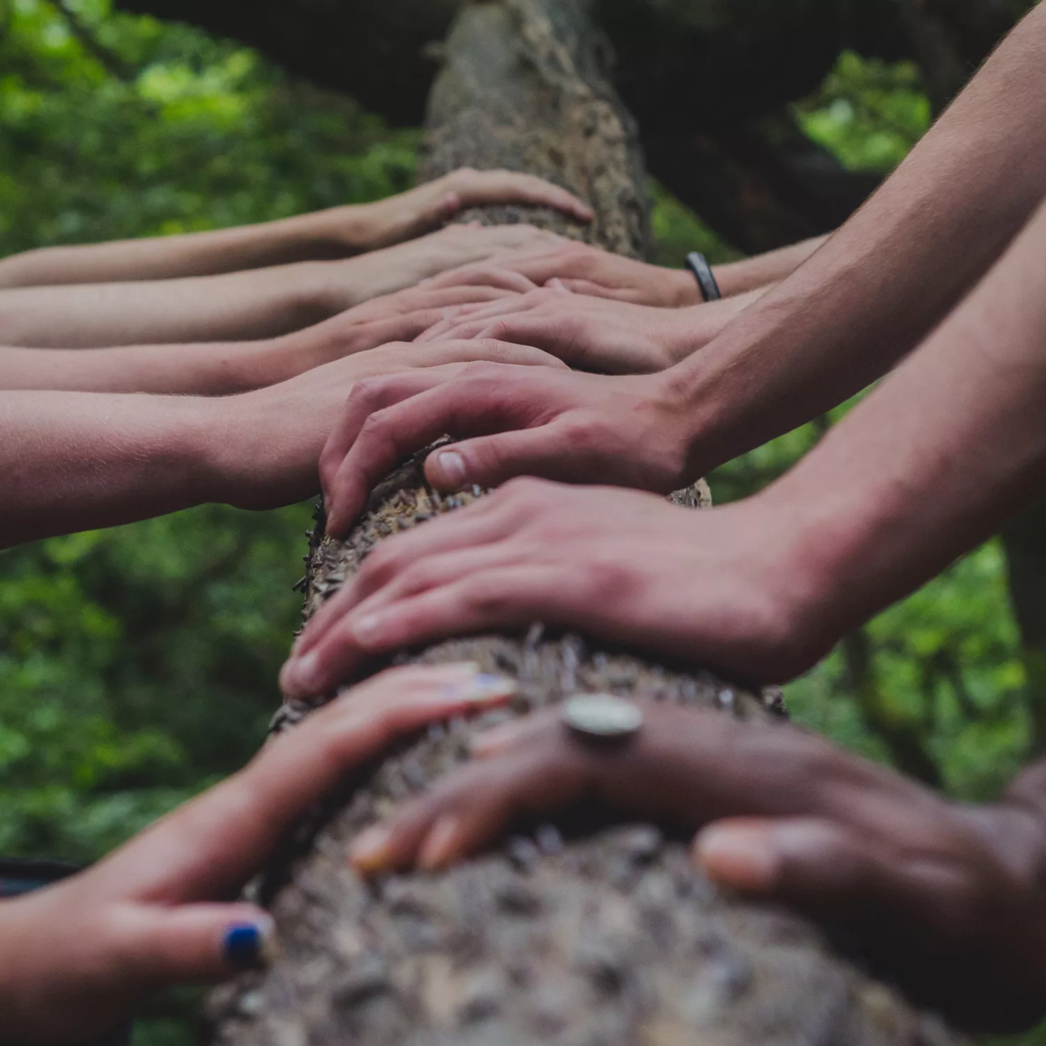 photographie de plusieurs mains appuyées sur un tronc d'arbre, illustre la deuxième étape de la méthode innovante du bilan d'Oser Demain